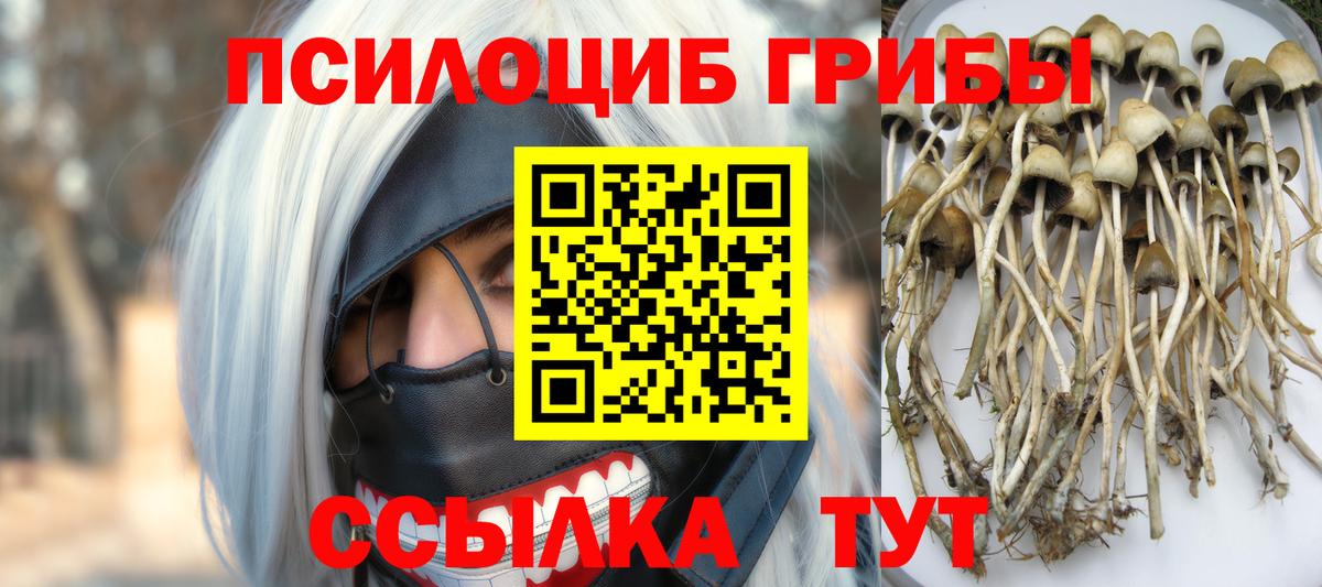Галлюциногенные грибы Cubensis Ступино
