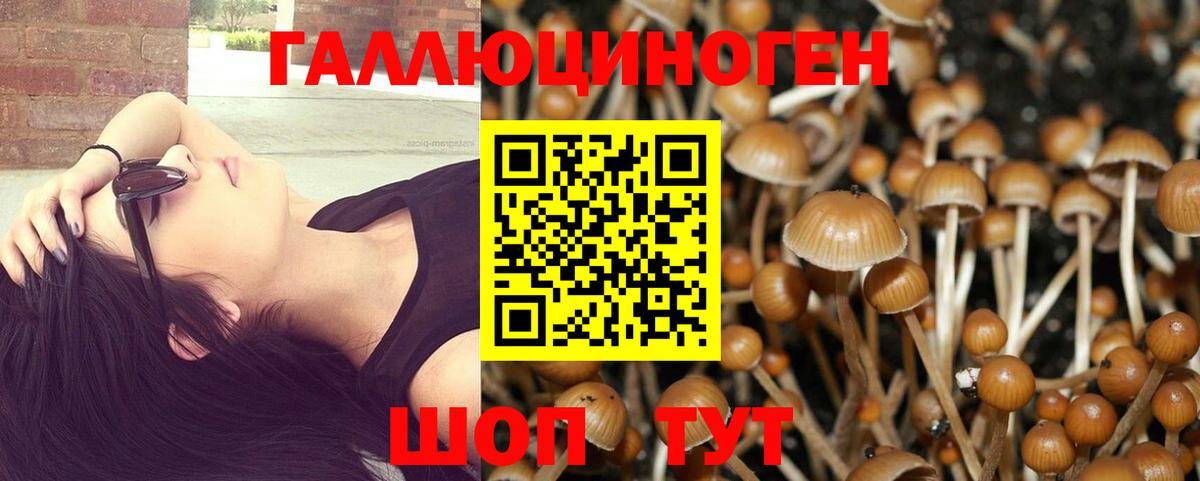 Ступино  Псилоцибиновые грибы Magic Shrooms  Галлюциногенные грибы мухоморы  Вход с VPN 